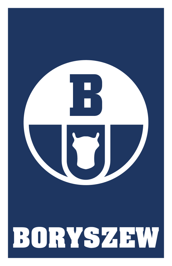 Boryszew logo